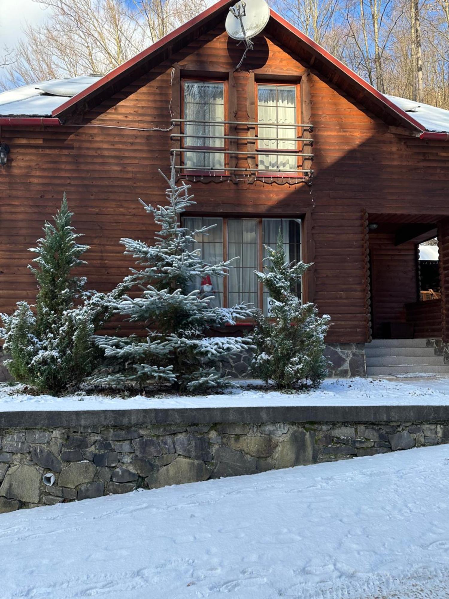 Домик В Горах Villa Tur'ya Paseka Exterior foto