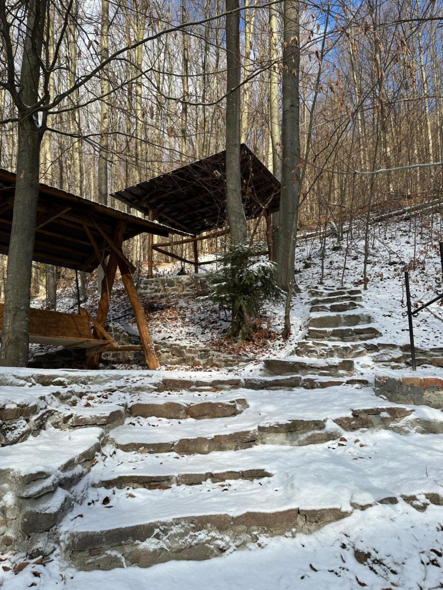 Домик В Горах Villa Tur'ya Paseka Exterior foto